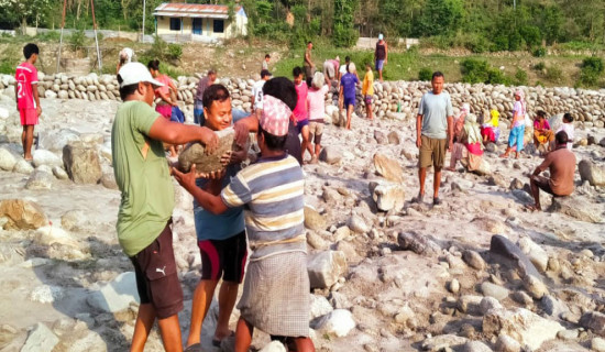 समावेशीकरणको दिशामा नयाँ फड्को : गोरखापत्रद्वारा प्रकाशित माझी भाषा