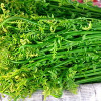 ‘नेपाल–भारतबिचको मित्रता प्रगाढ’