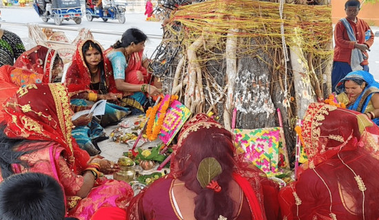 मिथिलामा वटसावित्री पर्व मनाइयो