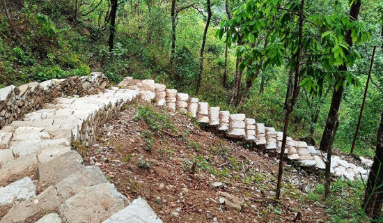 रोजगार कार्यक्रममार्फत अन्नपूर्णमा ८२ जनालाई रोजगारी