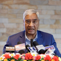 वार्षिकोत्सवमा वृक्षारोपण