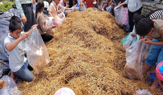 विद्यार्थीलाई पढाइसँगै सीप सिकाउँदै बेनीका विद्यालय