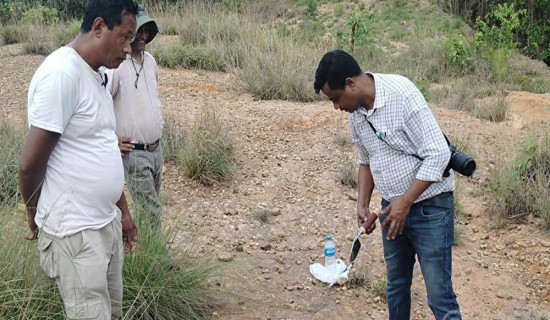 गुडन कर्विन्सलाई पछ्याउँदै ढुङ्गे हतियारको खोजी