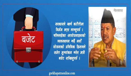 निराश बनाउने हैन उत्साह छर्ने बजेट चाहियो: अध्यक्ष न्यौपाने