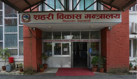 वैदेशिक लगानीका उल्झन