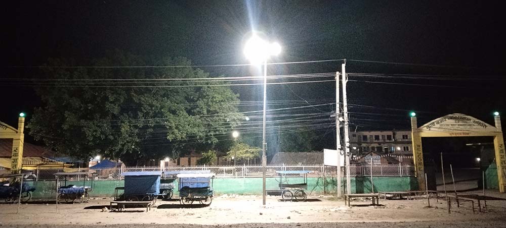 सडकको उज्यालोले चरा सङ्कटमा