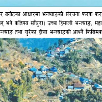 सौन्दर्यले भरिपूर्ण मयूर