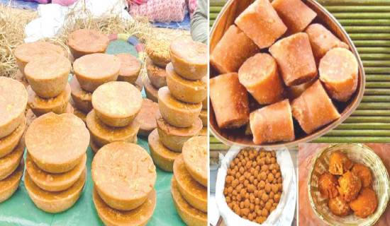 प्रेरक व्यक्तित्त्व म्याक्सिम गोर्की