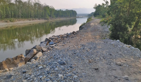 नारायणीमा थप तटबन्ध निर्माण