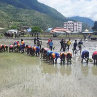 नौलो अपराध : डिजिटल अरेस्ट