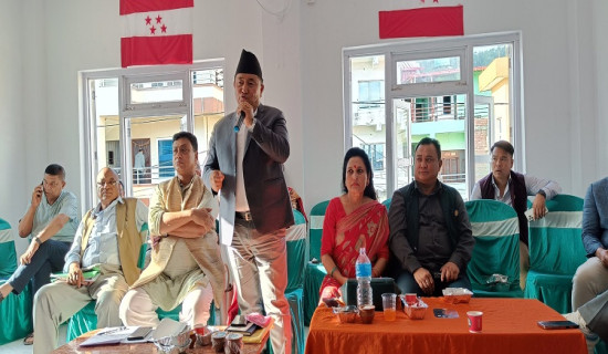 नागरिकलाई उत्पादनसँग जोड्ने गरी आगामी बजेट ल्याउन कांग्रेसको सुझाव