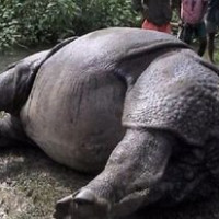 जाडोमा स्वास्थ्य समस्याबाट कसरी बच्ने ?
