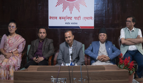 गणतन्त्र दिवस उत्सवका रुपमा मनाउनुपर्छ : महासचिव पोखरेल