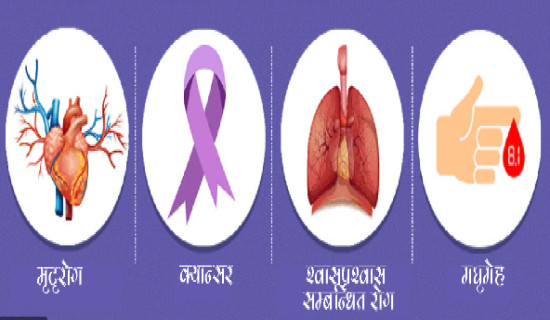 केन्द्रले प्रदेशमा हस्तक्षेप गर्नु हुँदैन