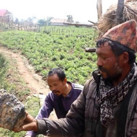 प्रधानमन्त्रीलाई नागरिक उन्मुक्ति पार्टीले विश्वासको मत दिने