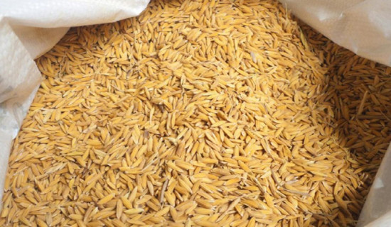 प्रधानमन्त्रीलाई नागरिक उन्मुक्ति पार्टीले विश्वासको मत दिने