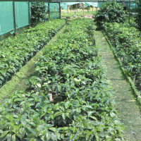 सरकारले अन्तर्देशीय पेट्रोलियम पाइपलाइन र भण्डारण क्षमता बढाउने