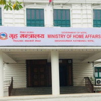 ललितपुर २ (ख) मा कांग्रेसका चित्रकार विजयी