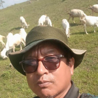 बागलुङ–२ (क) मा कांग्रेसका शेरचन विजयी