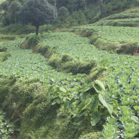 उदयपुर २ प्रदेशसभा (ख) मा कांग्रेसका खत्री विजयी