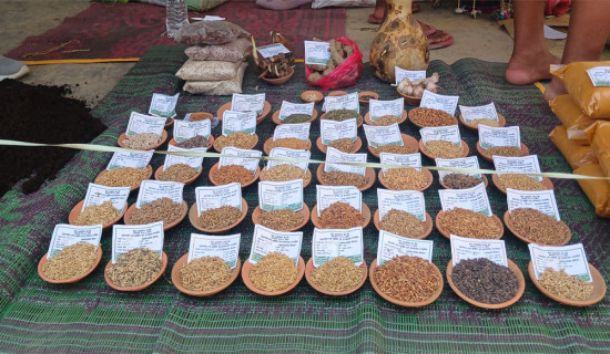 रैथाने उत्पादन जोगाउनका लागि ‘कृषि जैविक विविधता मेला’
