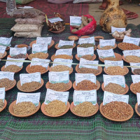बजेट वक्तव्य : छ प्रतिशत आर्थिक वृद्धिको लक्ष्य
