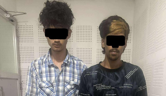 मोवाइल चोरी गर्ने दुई पक्राउ