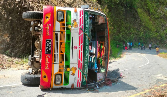 बस दुर्घटनामा १८ घाइते, तीन गम्भीर