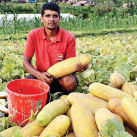 दुई बस एकापसमा जुध्दा १३ यात्रु घाइते