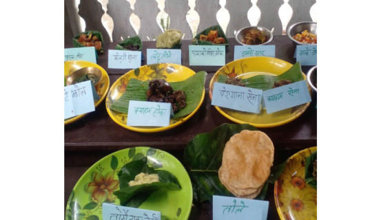 कर्जा सूचनाबारे नयाँ प्रस्ताव