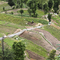 ब्रोकर सेवालाई ग्रामीण क्षेत्रमा समेत विस्तार गरिने