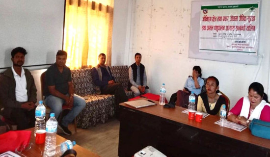 आजको दिन नेपाल र नेपालीका लागि कोशेढुंगा : पूर्व राष्ट्रपति भण्डारी