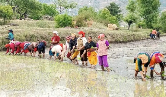 आजका लागि यस्तो छ विदेशी मुद्राको विनिमय दर