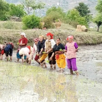 पर्याप्त कर्मचारी नहुँदा समस्या