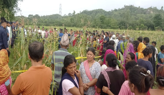 मधेश प्रदेश सरकारद्वारा पत्रकार अभिनन्दित