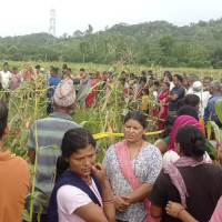 जोखिम मोलेर काठको पुल तर्न बाध्य