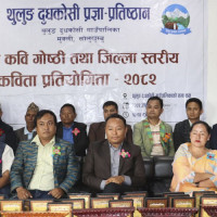 मधेश प्रदेश सरकारद्वारा पत्रकार अभिनन्दित