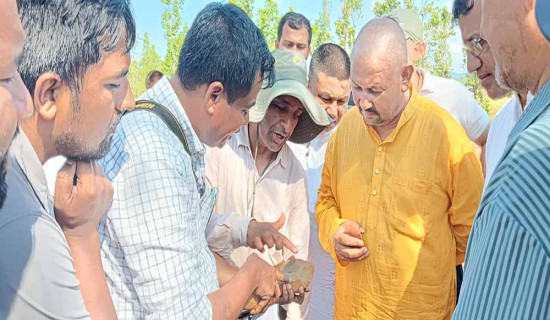 डिजिटल रुपान्तरणको योजना बनाउनुपर्छः मन्त्री शर्मा