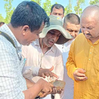 गणतन्त्रको जीवन : सिद्धान्त र व्यवहार