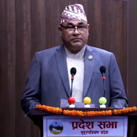 वनमा लागेको डढेलोले तीन घर जले
