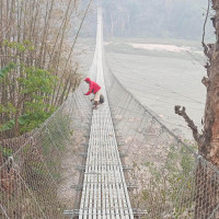 बागलुङमा बुट्टेनली बचाउने वसन्त