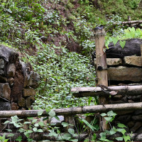 नगरवासी नै भेरीको पानी खान बाध्य
