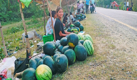 समावेशीकरणको दिशामा नयाँ फड्को : गोरखापत्रद्वारा प्रकाशित थारू भाषा
