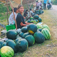 राष्ट्रपति पौडेल र युएईका उपप्रधानमन्त्री नाह्यानबिच शिष्टचार भेट