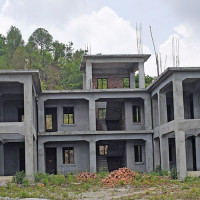 मिर्गाैला प्रत्यारोपण सफल