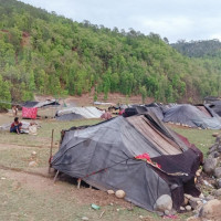 राससलाई आवश्यक स्रोतसाधनसहित सुदृढ र प्रभावकारी बनाउनुपर्ने : पूर्वराष्ट्रपति भण्डारी