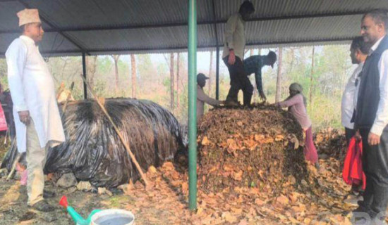 प्राङ्गारिक मल उत्पादनसँगै डढेलो नियन्त्रण