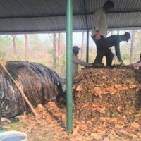 प्रतिकिलो ६५ रुपियाँले घट्यो रिट्ठाको भाउ, किसान मारमा