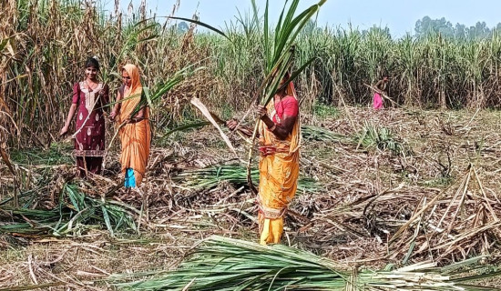 उखुको अनुदान रकम सम्बाेधन गर्न आग्रह