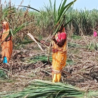 एमाले सुदूरपश्चिम प्रदेशको अध्यक्षमा जैसी निर्विरोध